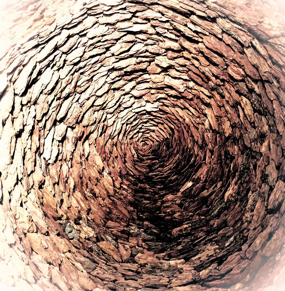 Photograph by Tatyana Markova