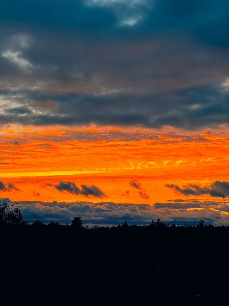 Photograph by Мария Бурик