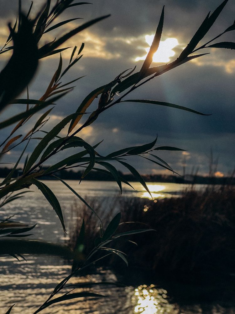 Photograph by Мария Бурик