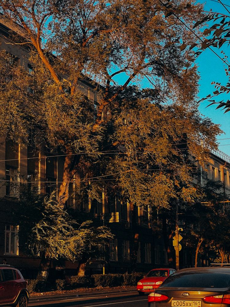 Photograph by Мария Бурик