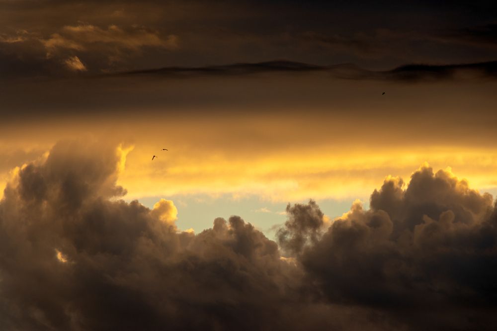 Photograph by Andrey Sensetic