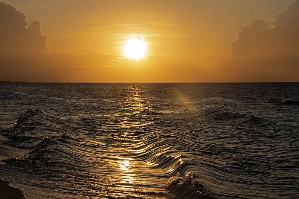 Photograph by Andrey Sensetic