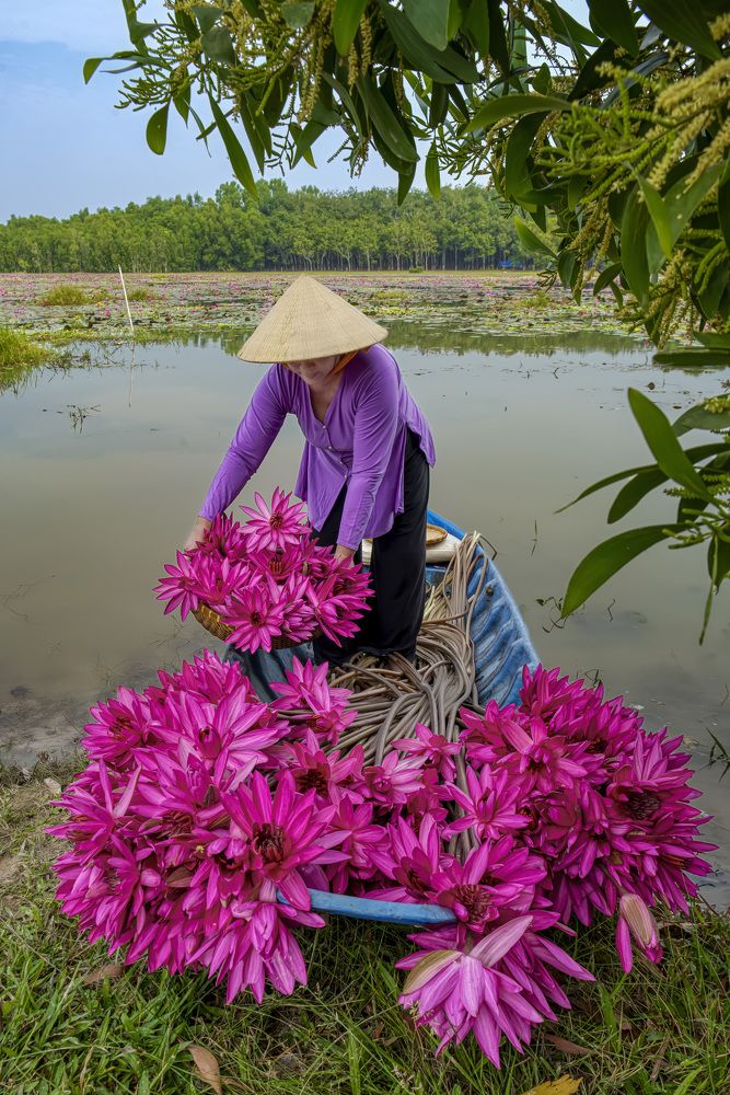 Photograph by Hùng Lâm Thế