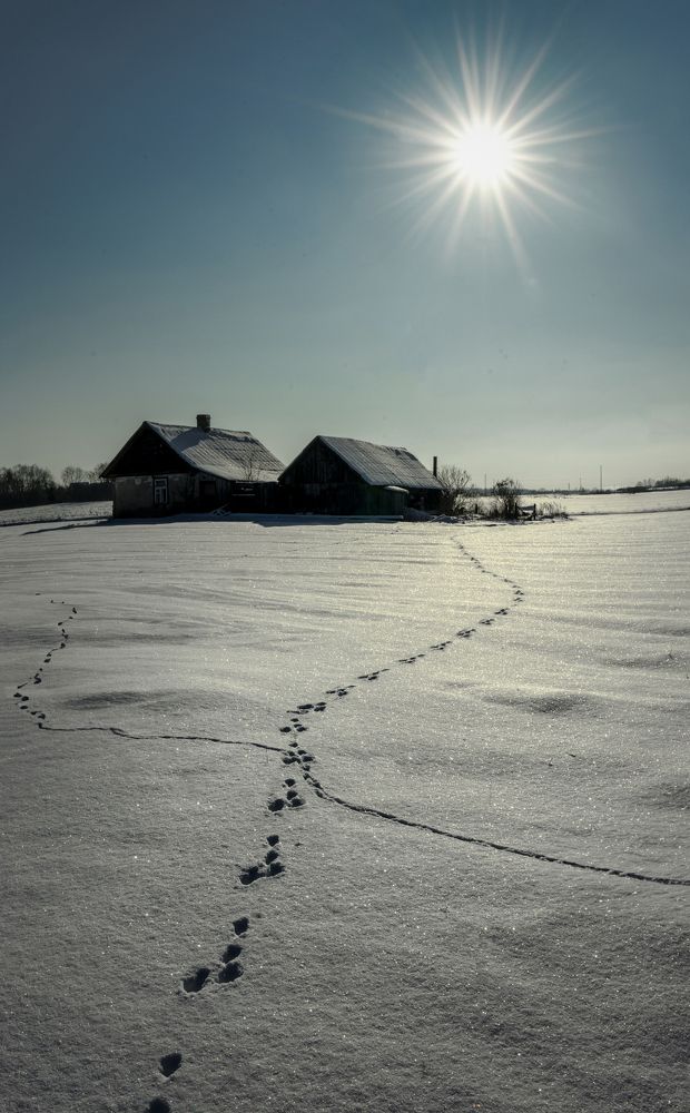 Photograph by Juris Buklovskis