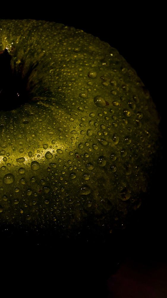 Photograph by Наталия Короленко