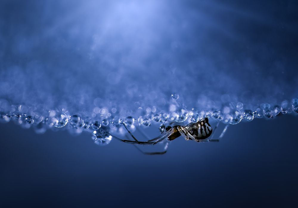 Photograph by Atul Saluja