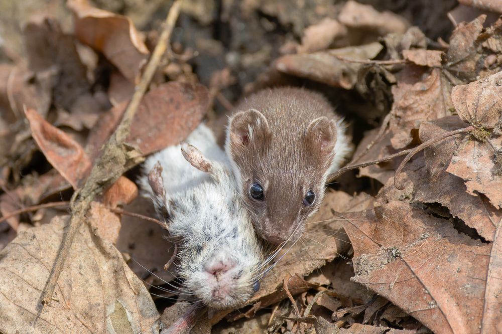 Photograph by Вера Машина