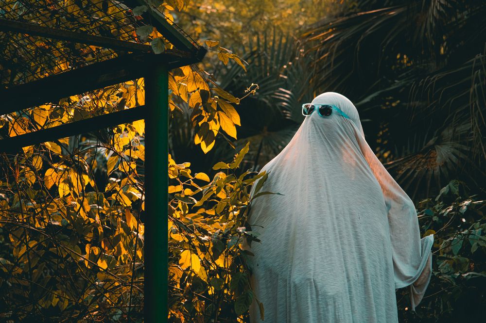 Фотография автора Anuj Medhavi