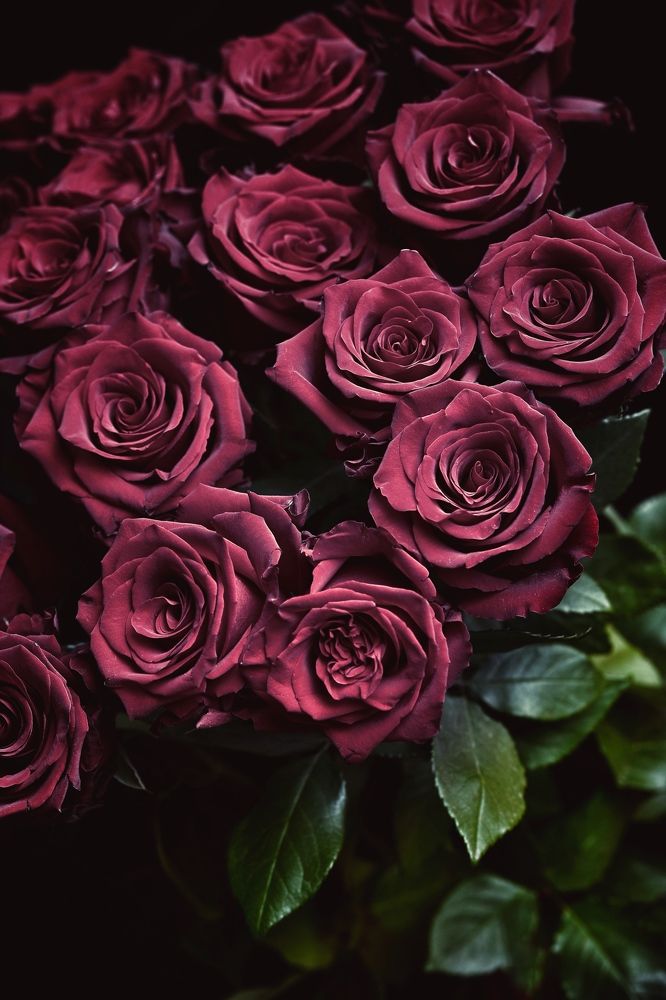 Фотография автора Alina Efimova