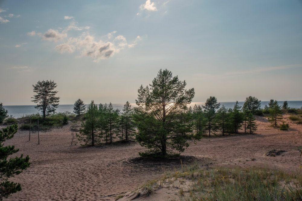 Photograph by Марина Зборацкая