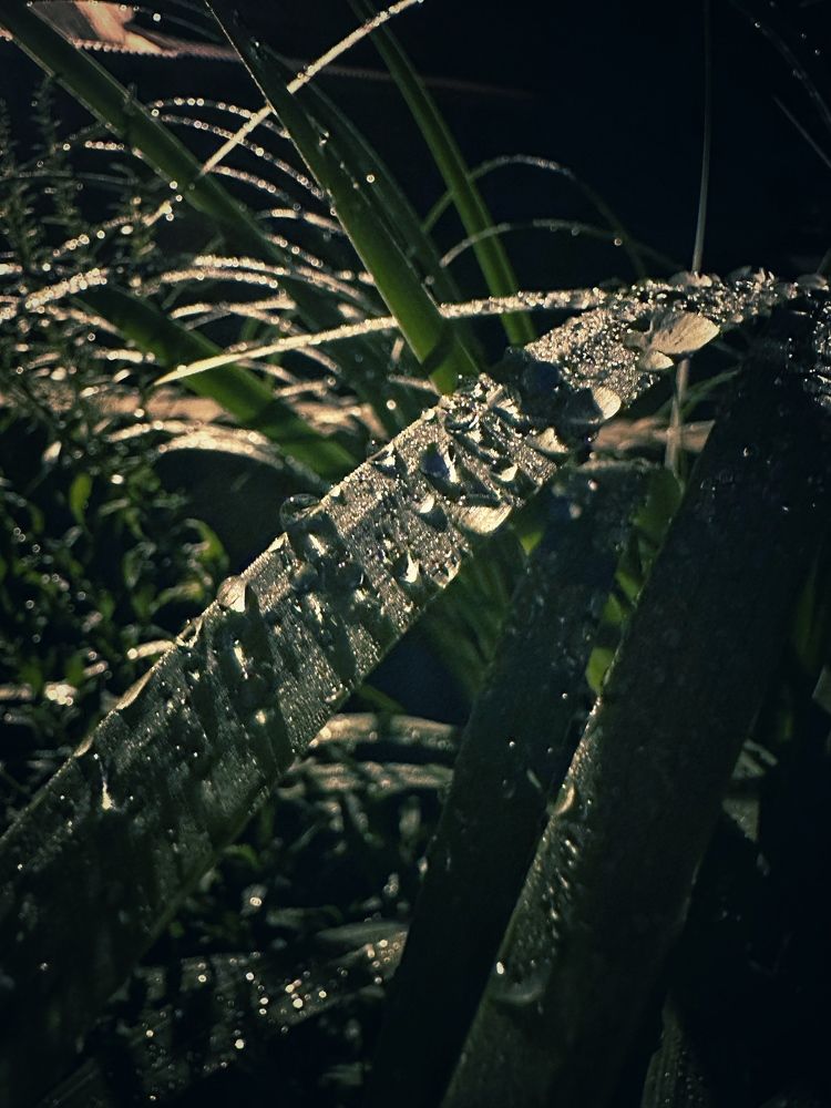 Фотография автора Alina Efimova