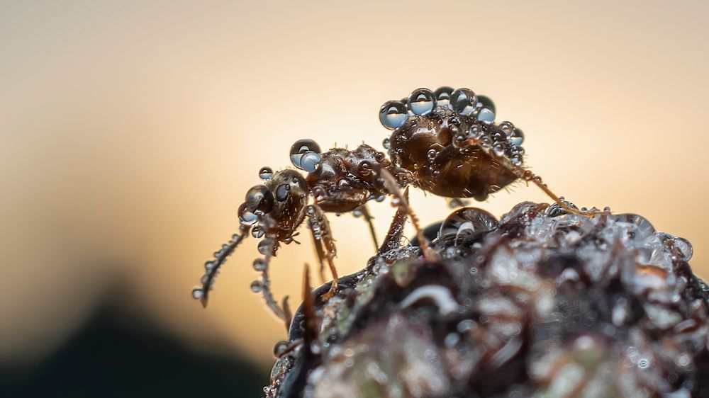 Photograph by Людмила Железнова