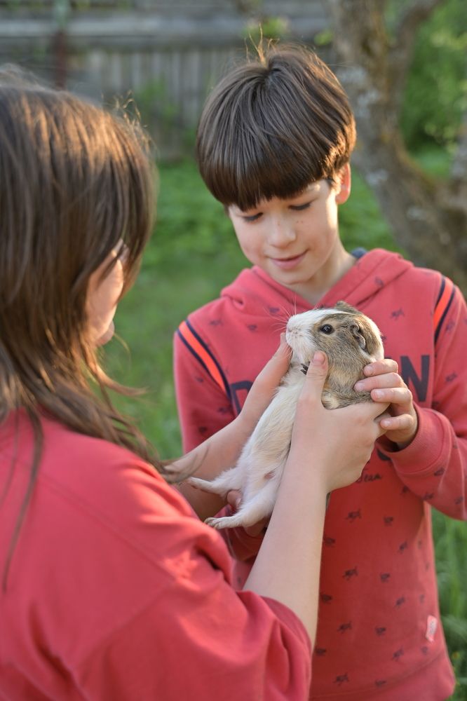 Photograph by Наталья Сергеева