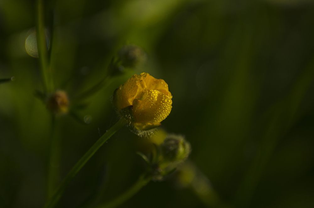 Photograph by Надежда Михайлина