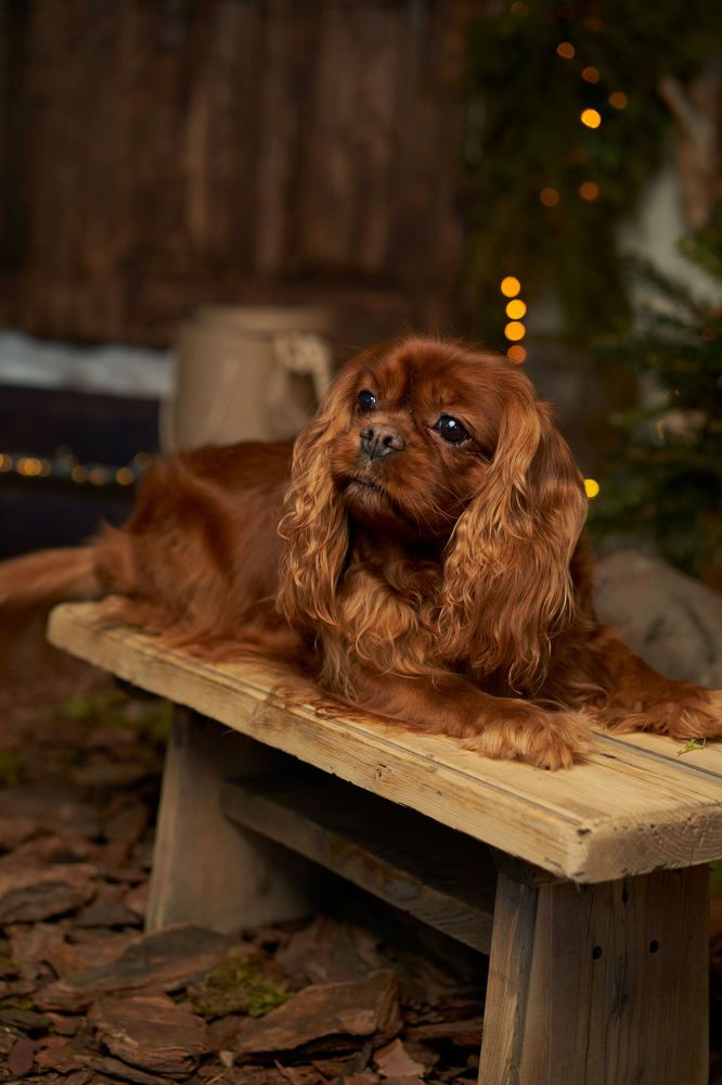 Photograph by Елена Ибраева