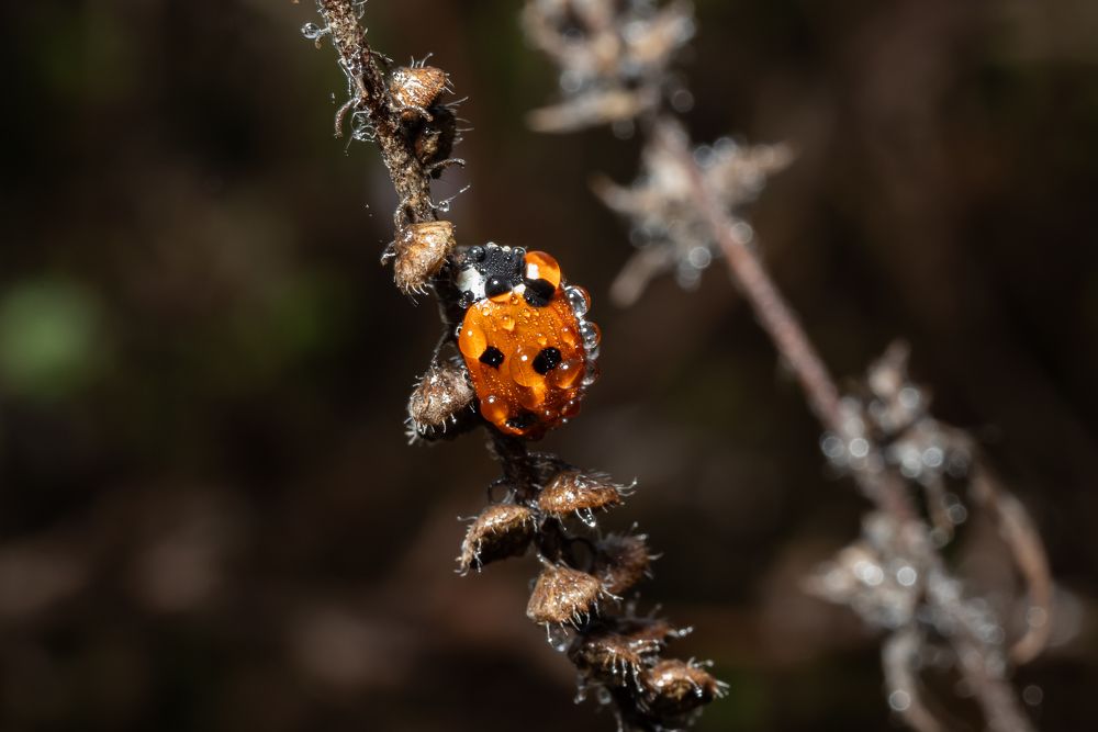 Photograph by Александр