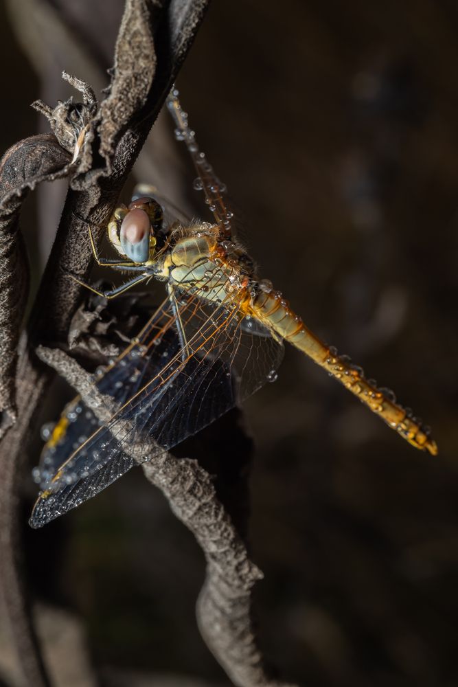 Photograph by Александр