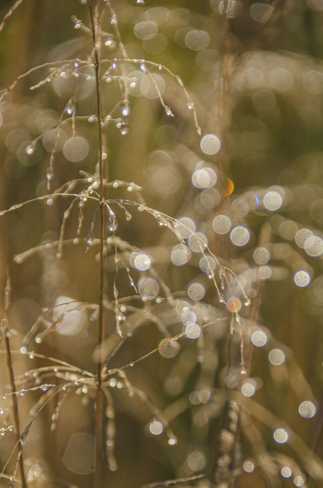 Photograph by Надежда Михайлина