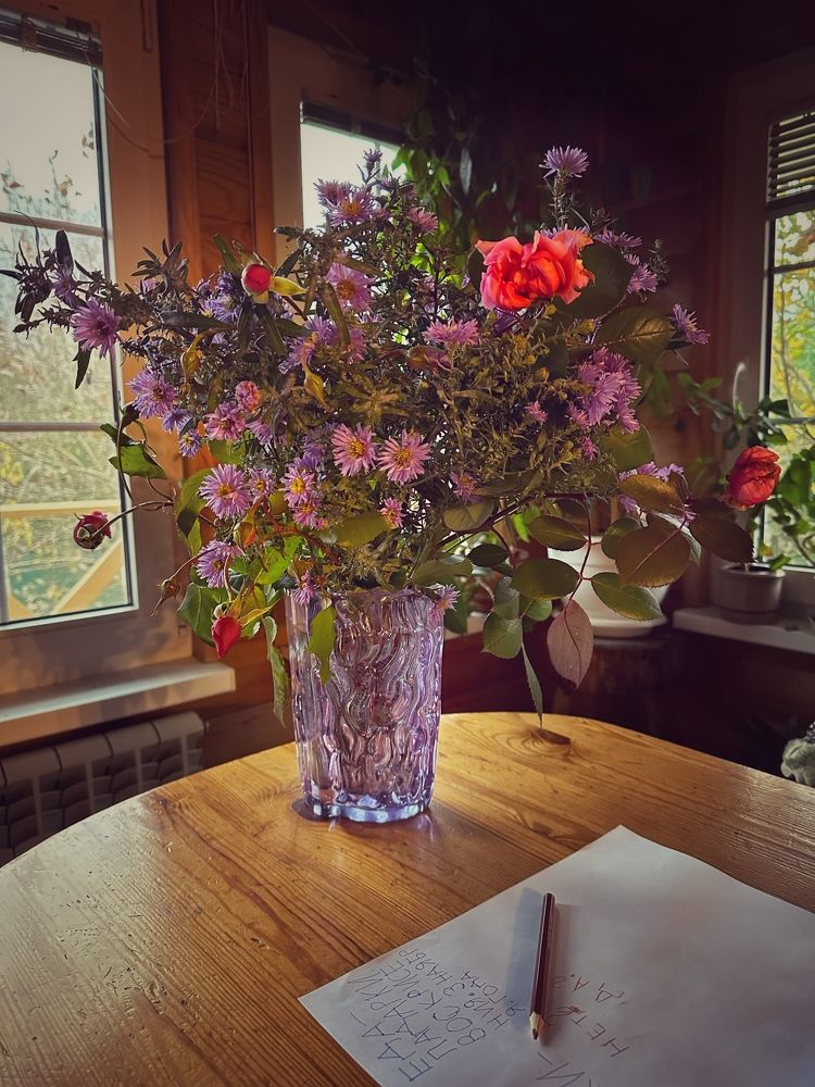 Фотография автора Alina Efimova