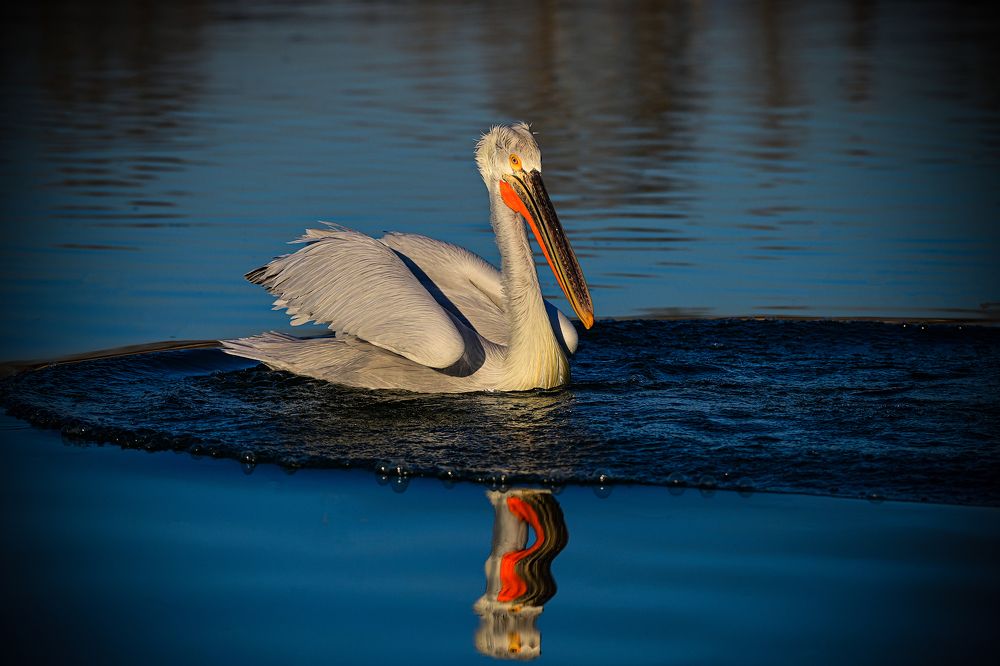 Photograph by nimalan subramaniam