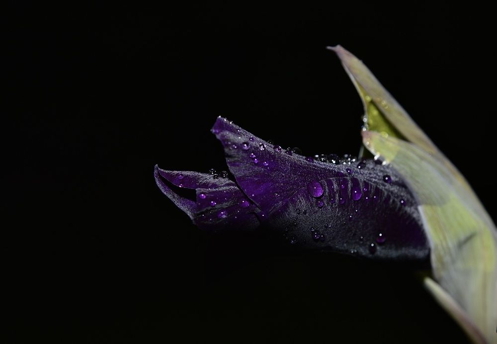 После дождя