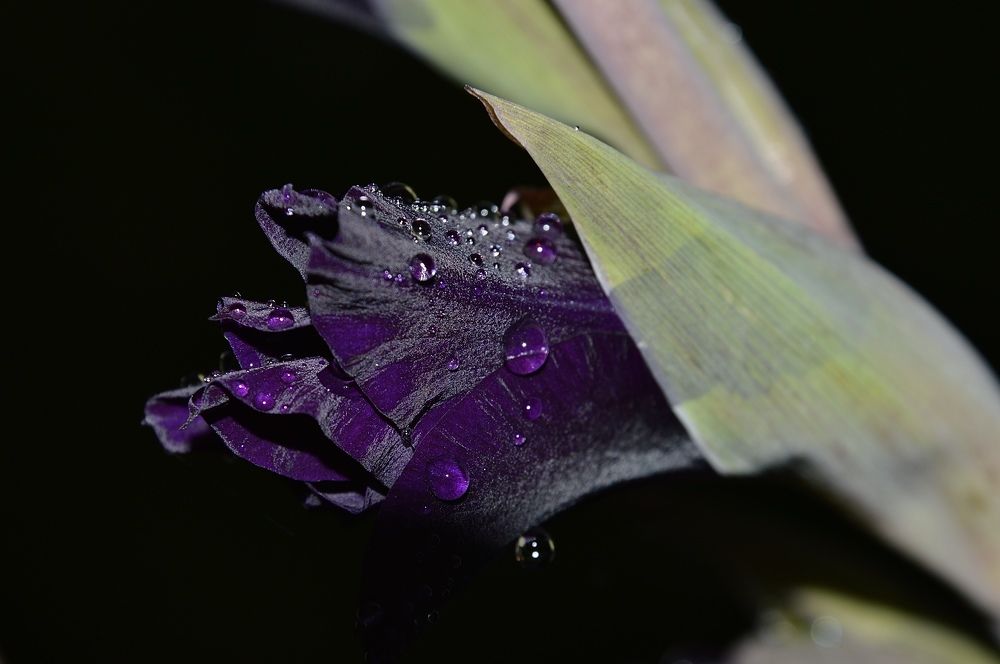 После дождя