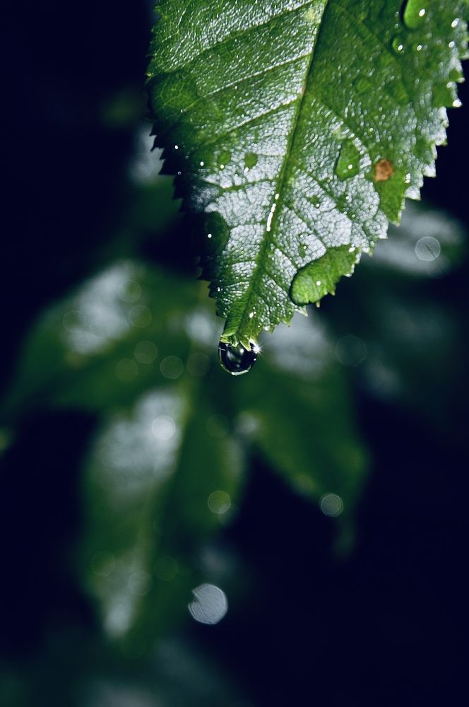 После дождя