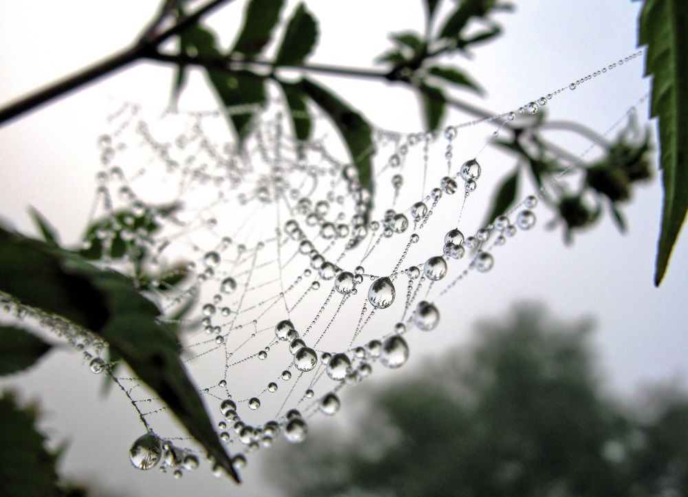 Photograph by Михаил Янкин