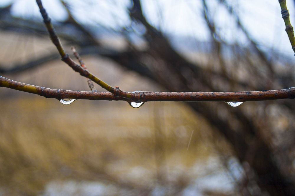 Photograph by Дарья Вихорева