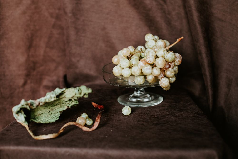 Photograph by Татьяна Овчинникова