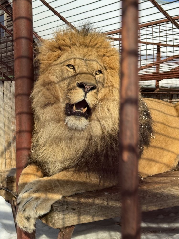 Photograph by Ольга Гаязова