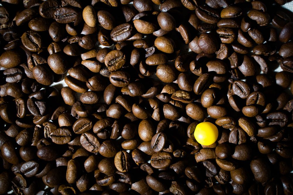 Фотография автора Василиса Новикова