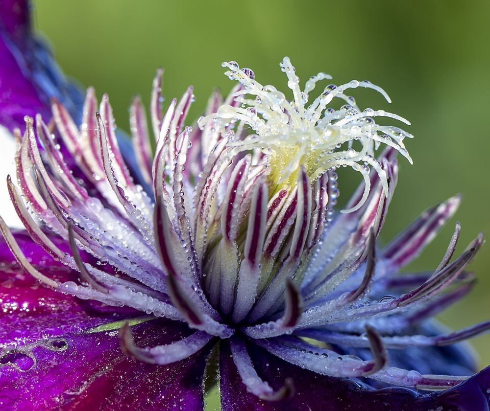 Photograph by Татьяна Феденкова