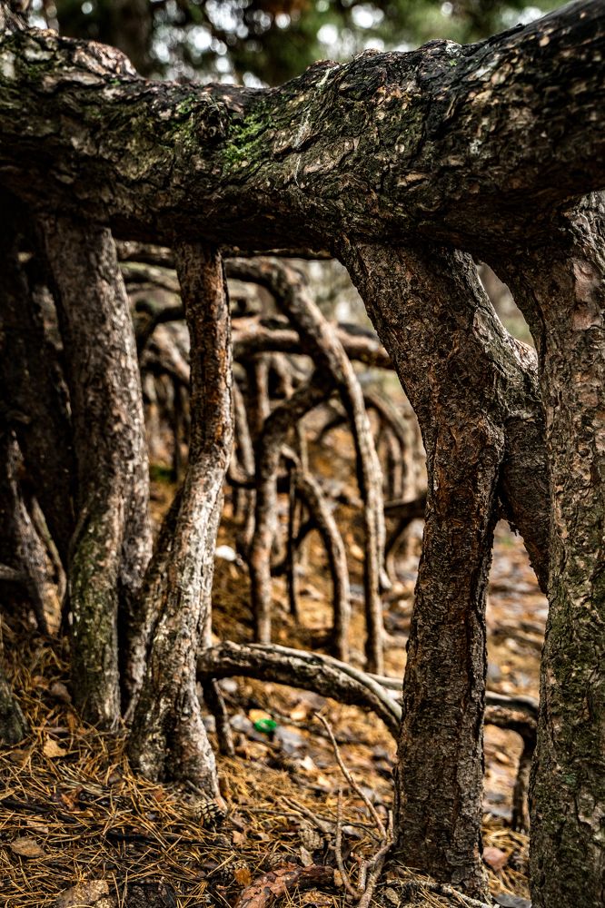 Фотография автора Василиса Новикова