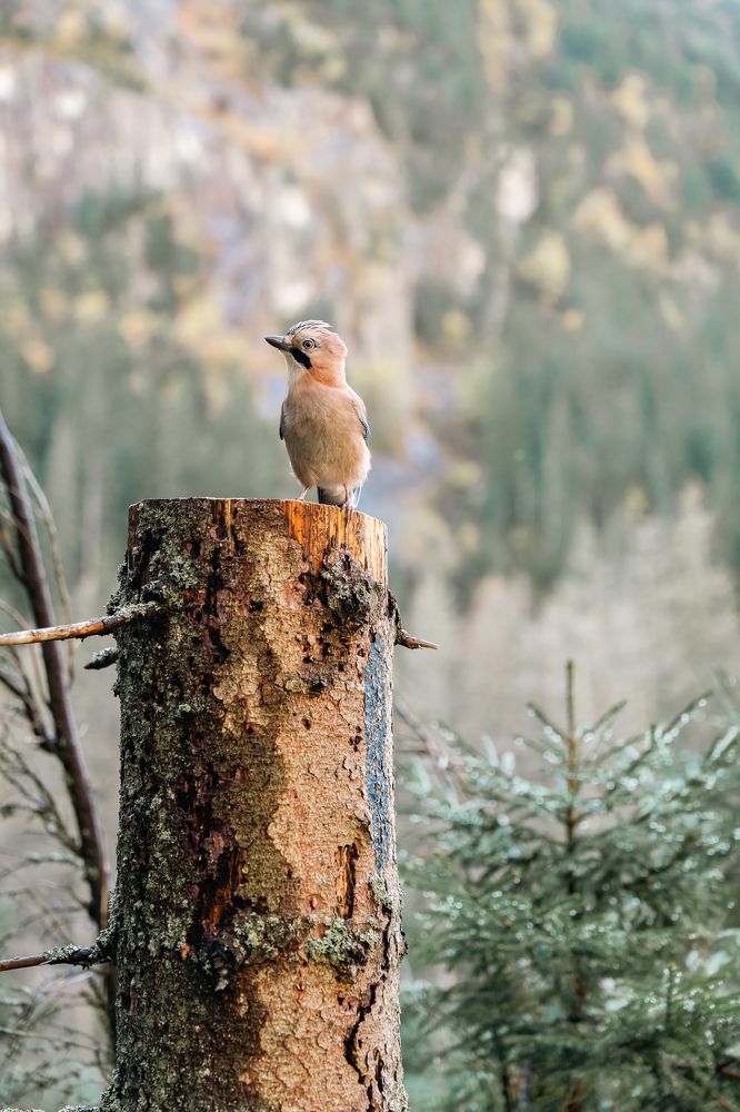 Photograph by Евгения