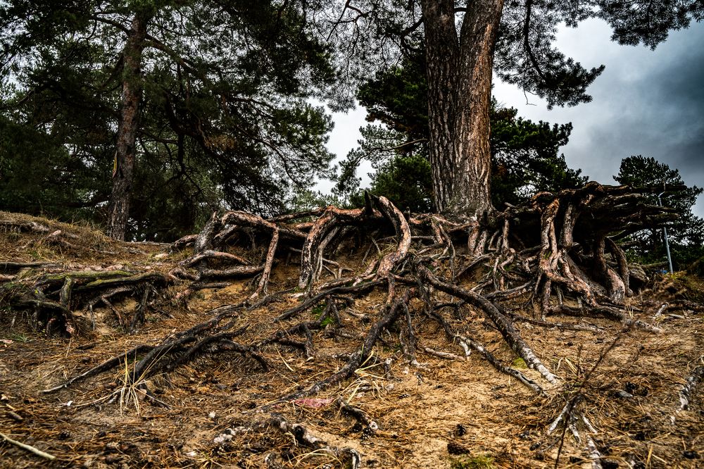Фотография автора Василиса Новикова