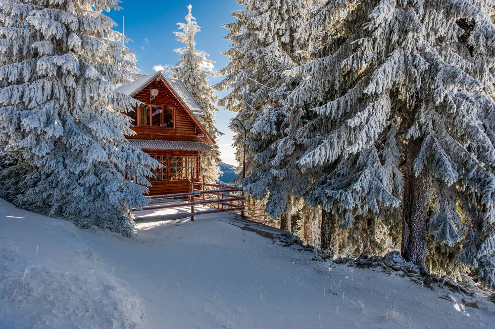 Фотография автора Hotea Gabriel