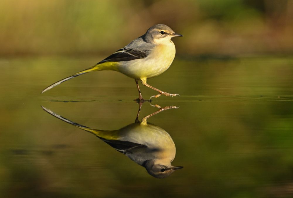 Photograph by nimalan subramaniam