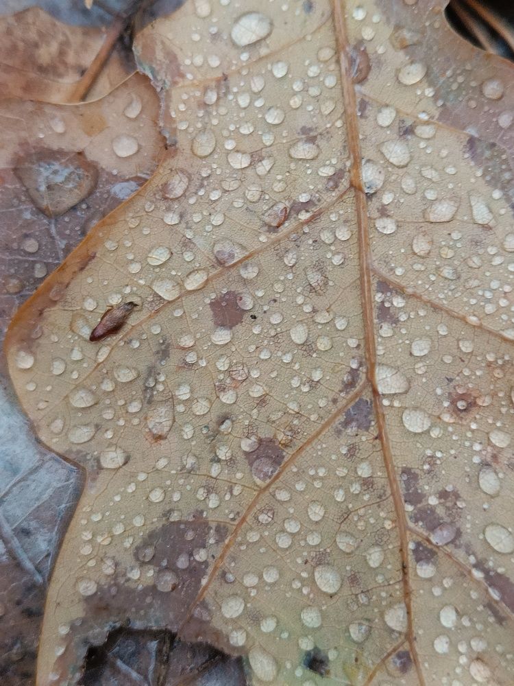 Photograph by Карина Слабкая