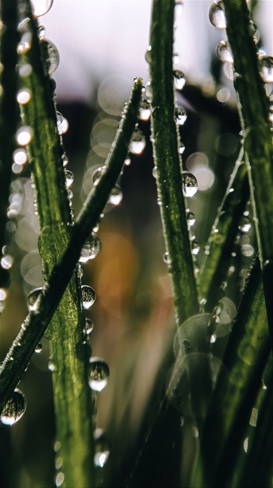 Фотография автора Юлия Якубова