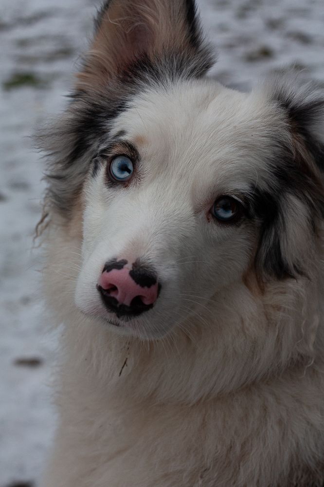 Photograph by Алла Логинова