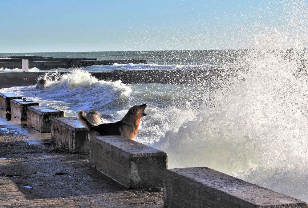 Photograph by Сергей Журавлев