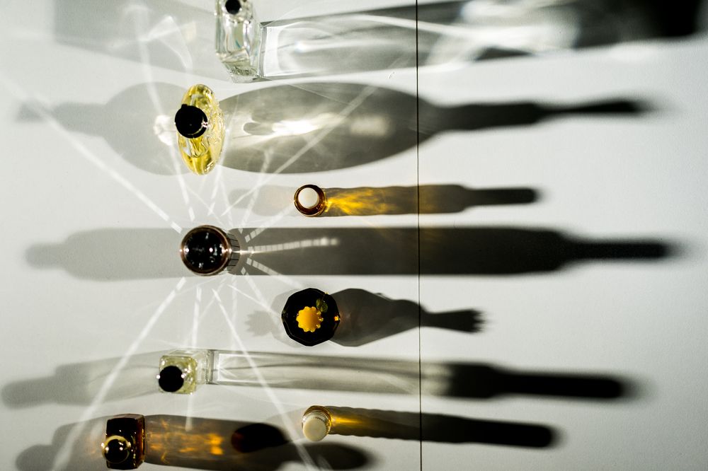 Фотография автора Василиса Новикова