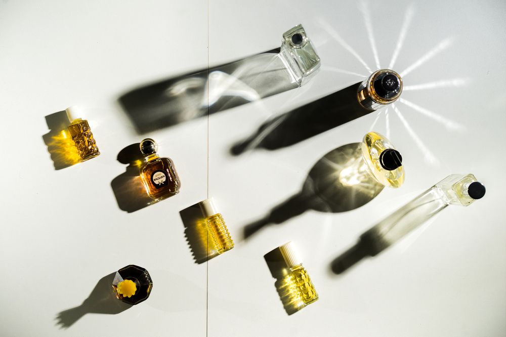 Фотография автора Василиса Новикова