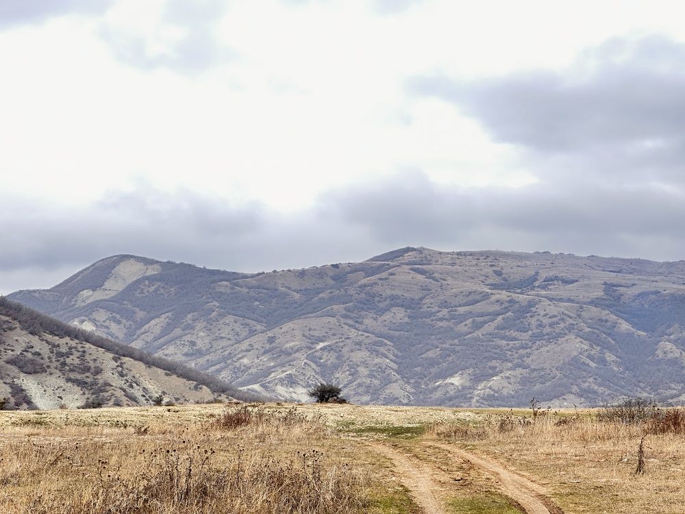 Photograph by Меруерт