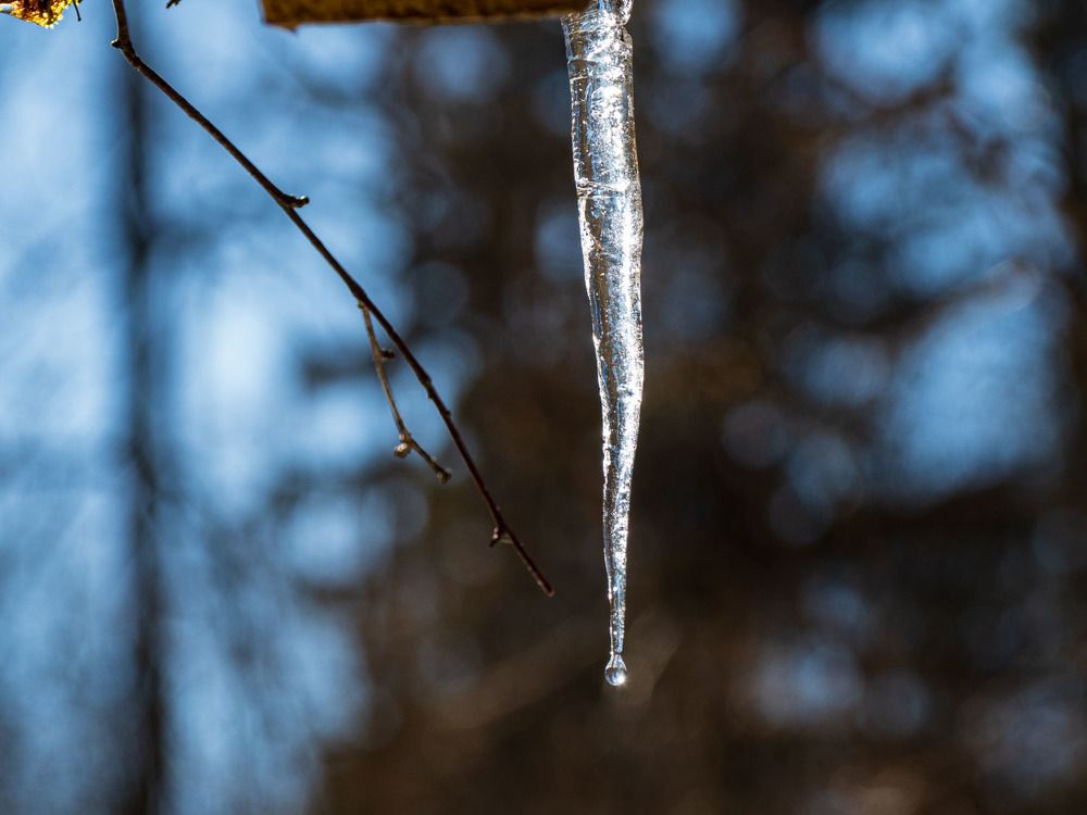 Photograph by Борис Полтавец