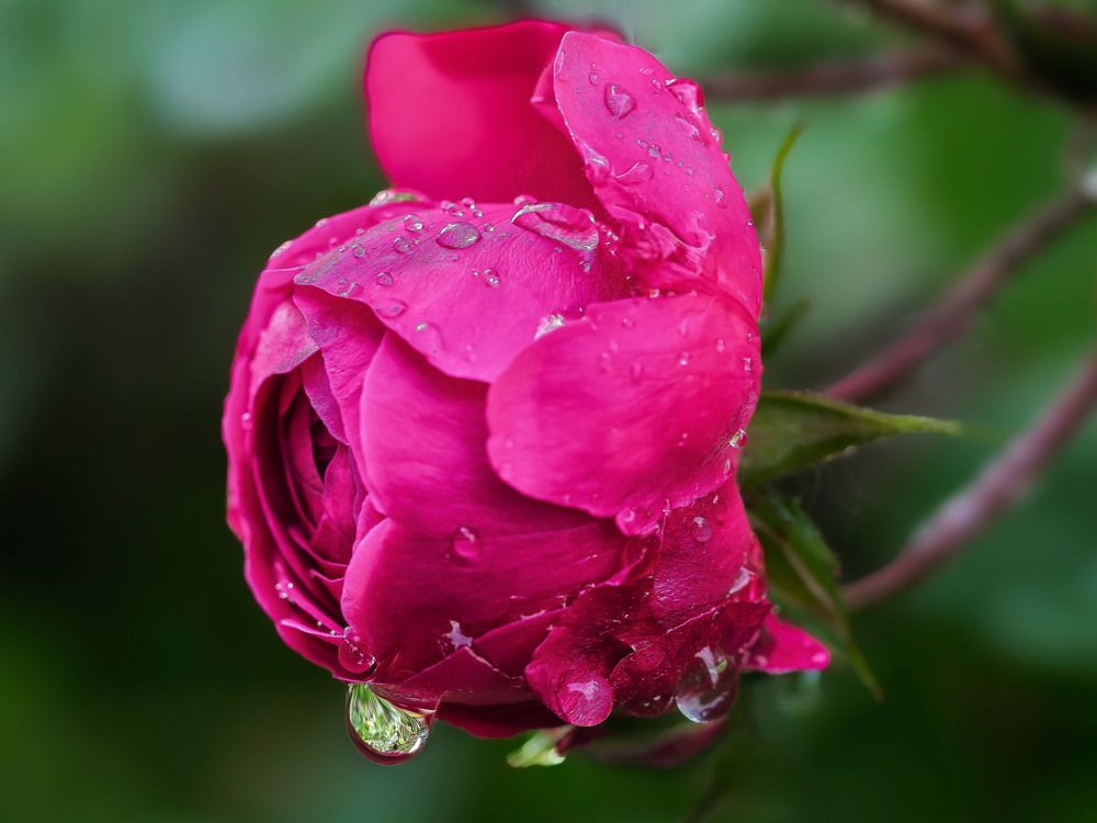 Photograph by Борис Полтавец