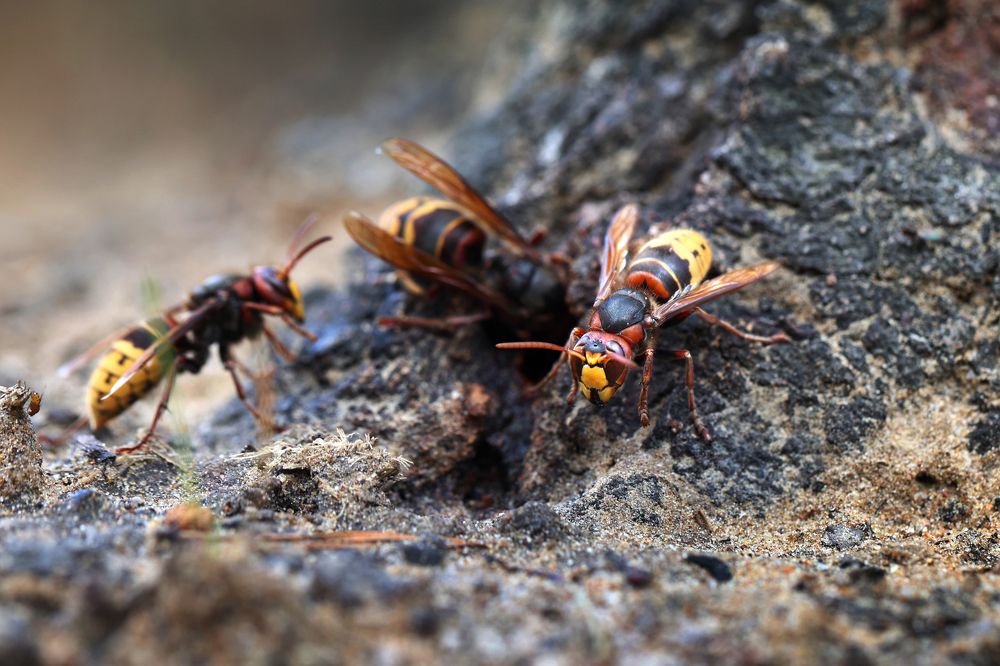 Photograph by Дмитрий Загурский