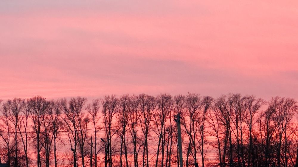 Photograph by Софья Шмидт