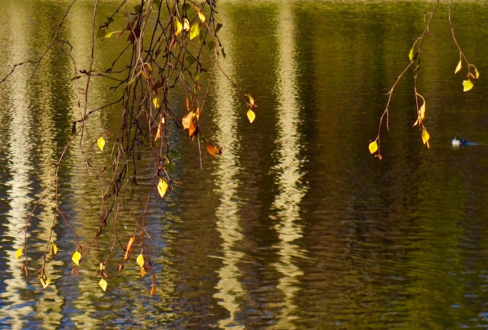 Photograph by Елена Жукова